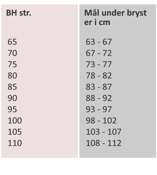 måleskema bh, corsage og body