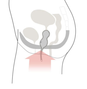 We-Vibe Bloom vibrator - en ny dimension af nydelse og træning