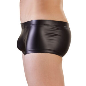 Herre Pants i Mat Wetlook