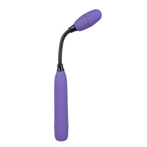 Hey Mr Flex Vibrator
