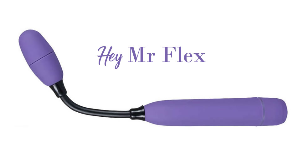 Hey Mr Flex Vibrator