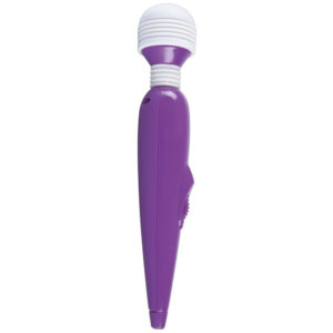 Womens Spa Mini Massagestav