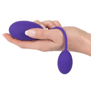 Pussy & Ass Balls Bækkenbundskugler med Anal Kugle