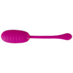 XOUXOU Vibrator æg og Bækkenbundskugle