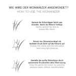 Womanizer Classic 2 Klitoris Stimulator