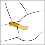 G-Spot Vibrator til G-punktet
