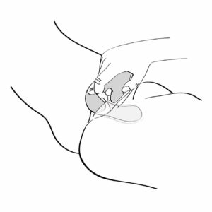 Shunga Soyo Rabbit Vibrator med 2 Motorer