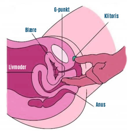 Gør din g-punkt stimulering bedre og få bedre orgasmer!
