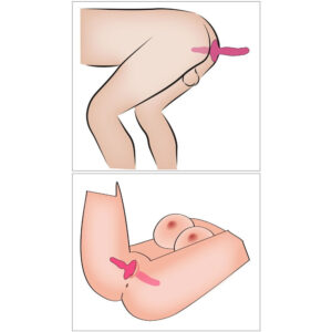 Couples Choice 2i1 Vibrator og Anal Plug