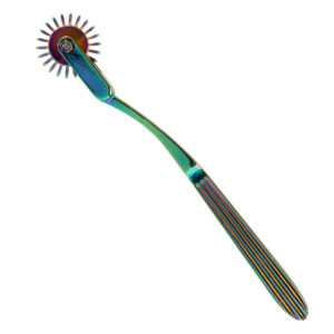 Rainbow Single Wartenberg Pinwheel og Nervehjul
