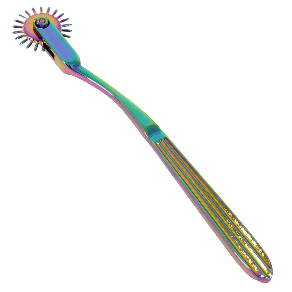 Rainbow Single Wartenberg Pinwheel og Nervehjul