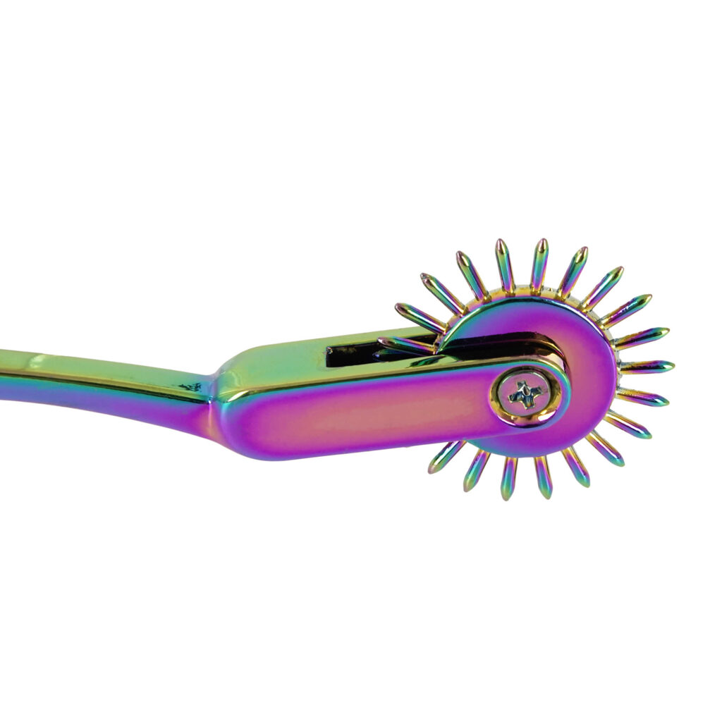 Rainbow Single Wartenberg Pinwheel og Nervehjul