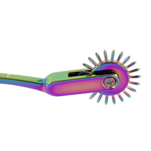 Rainbow Single Wartenberg Pinwheel og Nervehjul