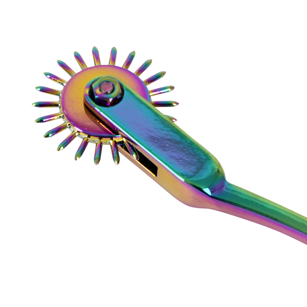 Rainbow Single Wartenberg Pinwheel og Nervehjul