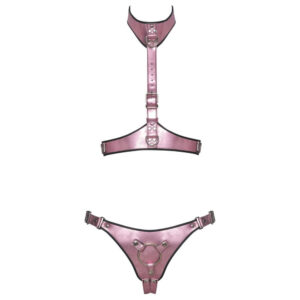 Harness BH og Trusse Sæt i Pink