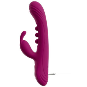 Javida 2 Funktion Rabbit Vibrator Squirting